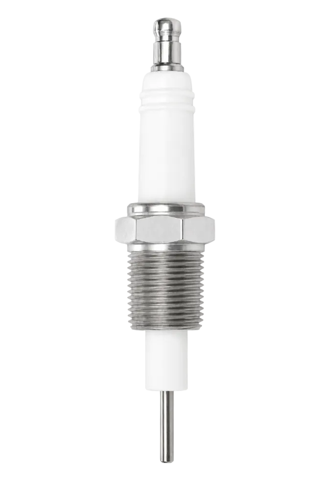 Eclipse 16946-5 Flame Rod/Igniter