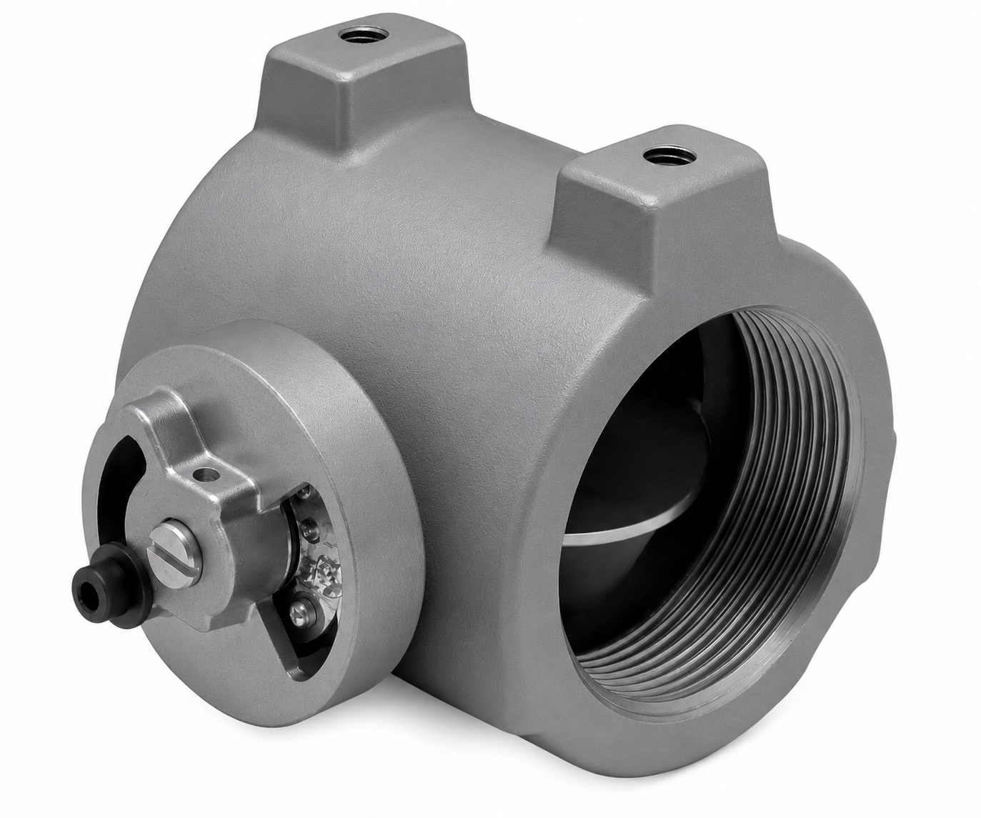 105BV-B 501217  Eclipse Manual Full Port butterfly valve: 1-1/4" NPT